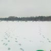 Puchar Prezesa Okręgu - Firlej 2013-02-17